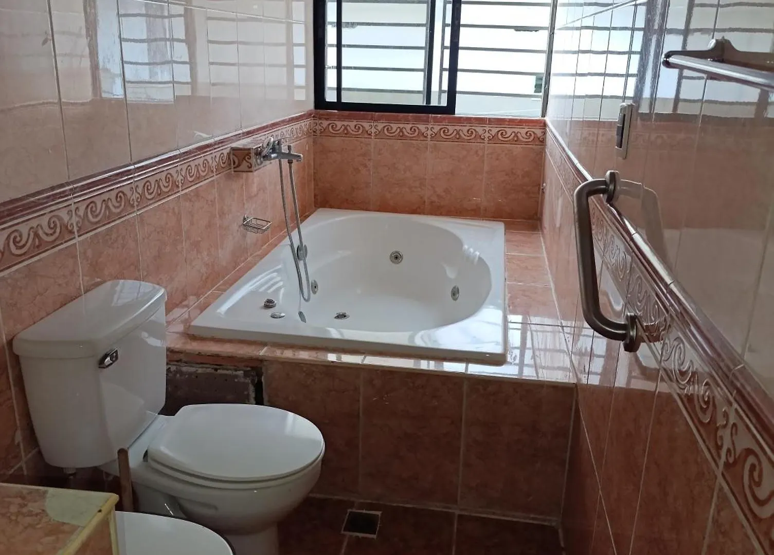 Hotel Acuario Residencial La Viva 0*,
