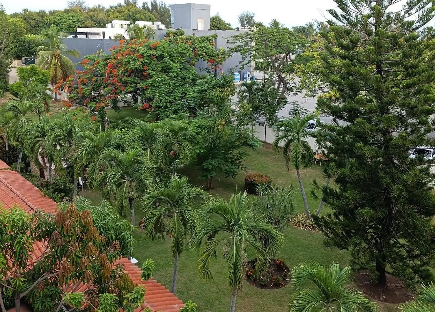 Aparthotel Hotel Acuario Residencial La Viva